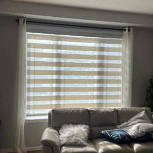 Zebra blinds