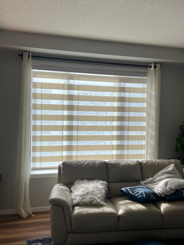 Zebra blinds
